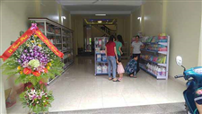 Lắp đặt giá kệ bày hàng siêu thị tại Thị Tứ, Vĩnh Bảo, Hải Phòng